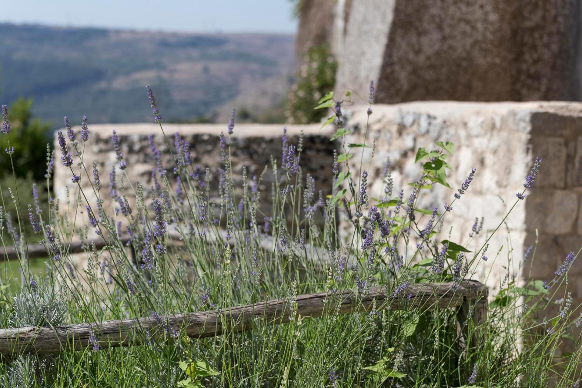 Antico Convento Dei Cappuccini Hotel Ragusa Buitenkant foto